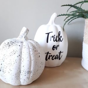 citrouille_halloween_automne_diy_deco_belgique_dco_factory_10