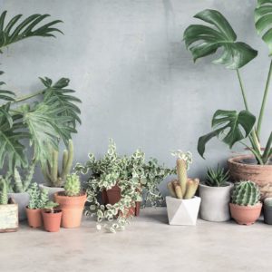 cache_pot_plantes_inspiration_deco_belgique_dco_factory_01