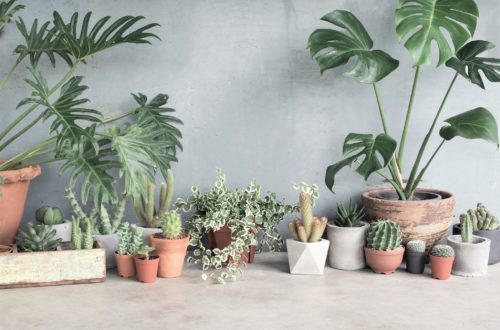 cache_pot_plantes_inspiration_deco_belgique_dco_factory_01