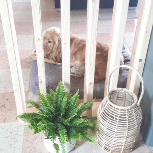 claustra_diy_construction_bois_deco_belgique_dco_factory_01